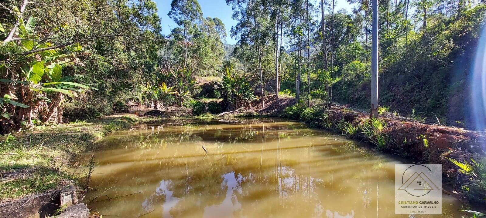 Chácara à venda com 2 quartos, 12000m² - Foto 132