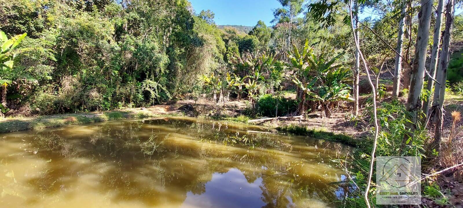 Chácara à venda com 2 quartos, 12000m² - Foto 135