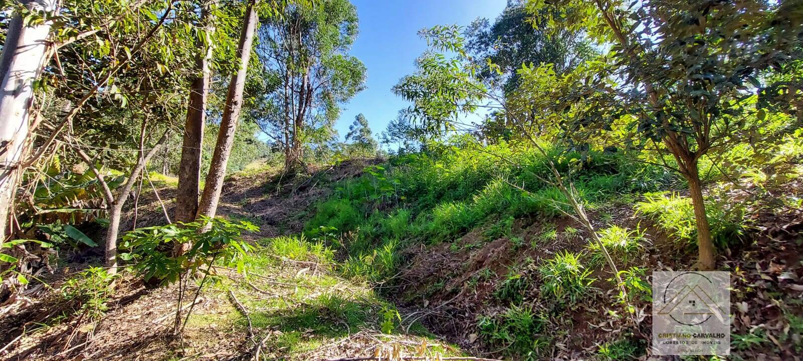 Chácara à venda com 2 quartos, 12000m² - Foto 138