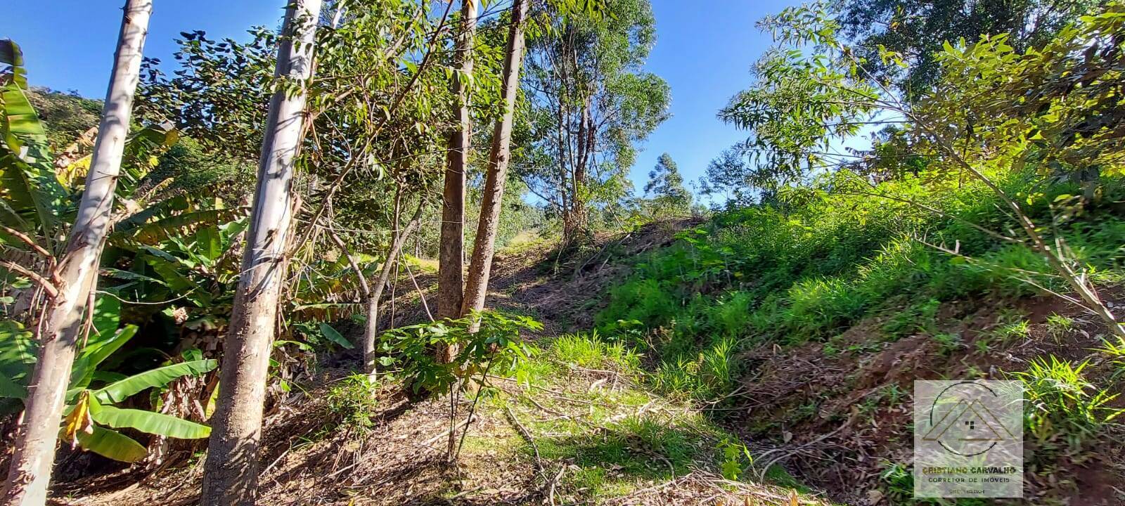 Chácara à venda com 2 quartos, 12000m² - Foto 137