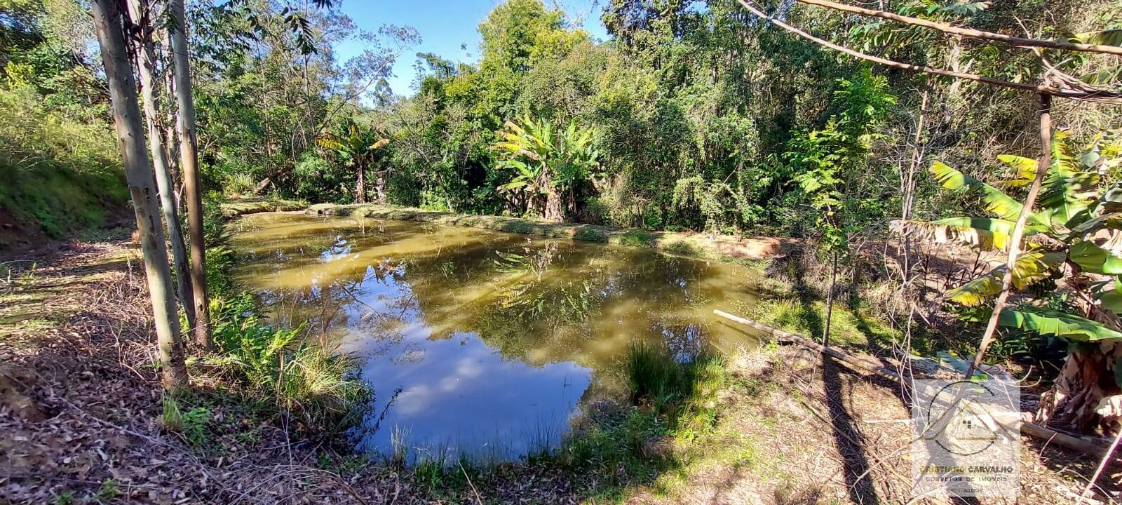 Chácara à venda com 2 quartos, 12000m² - Foto 140