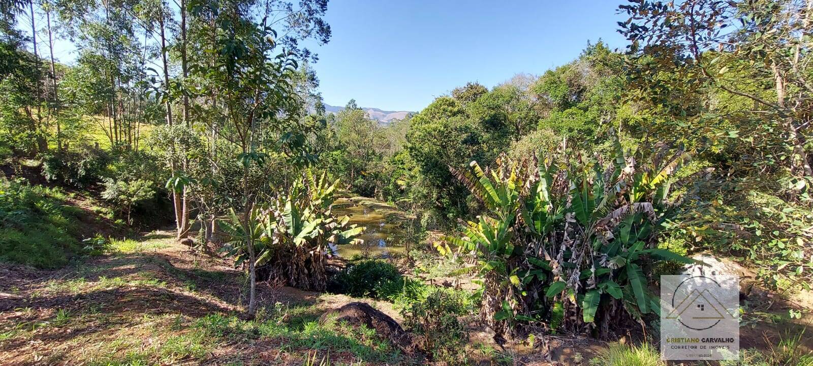Chácara à venda com 2 quartos, 12000m² - Foto 141