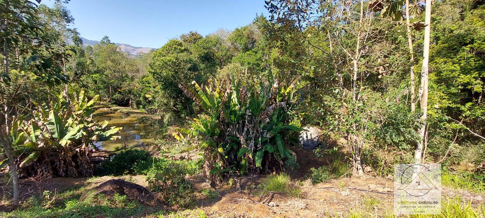 Chácara à venda com 2 quartos, 12000m² - Foto 142