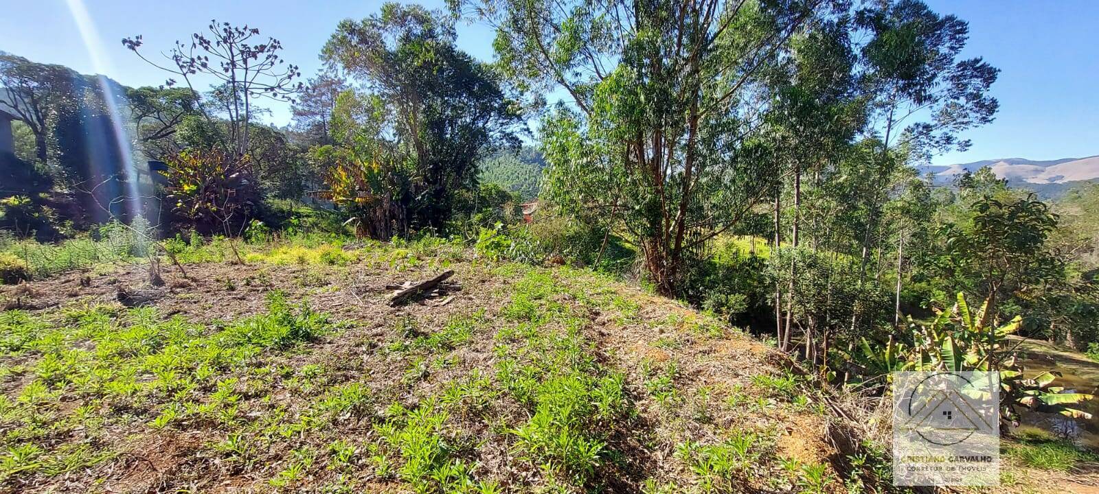 Chácara à venda com 2 quartos, 12000m² - Foto 143