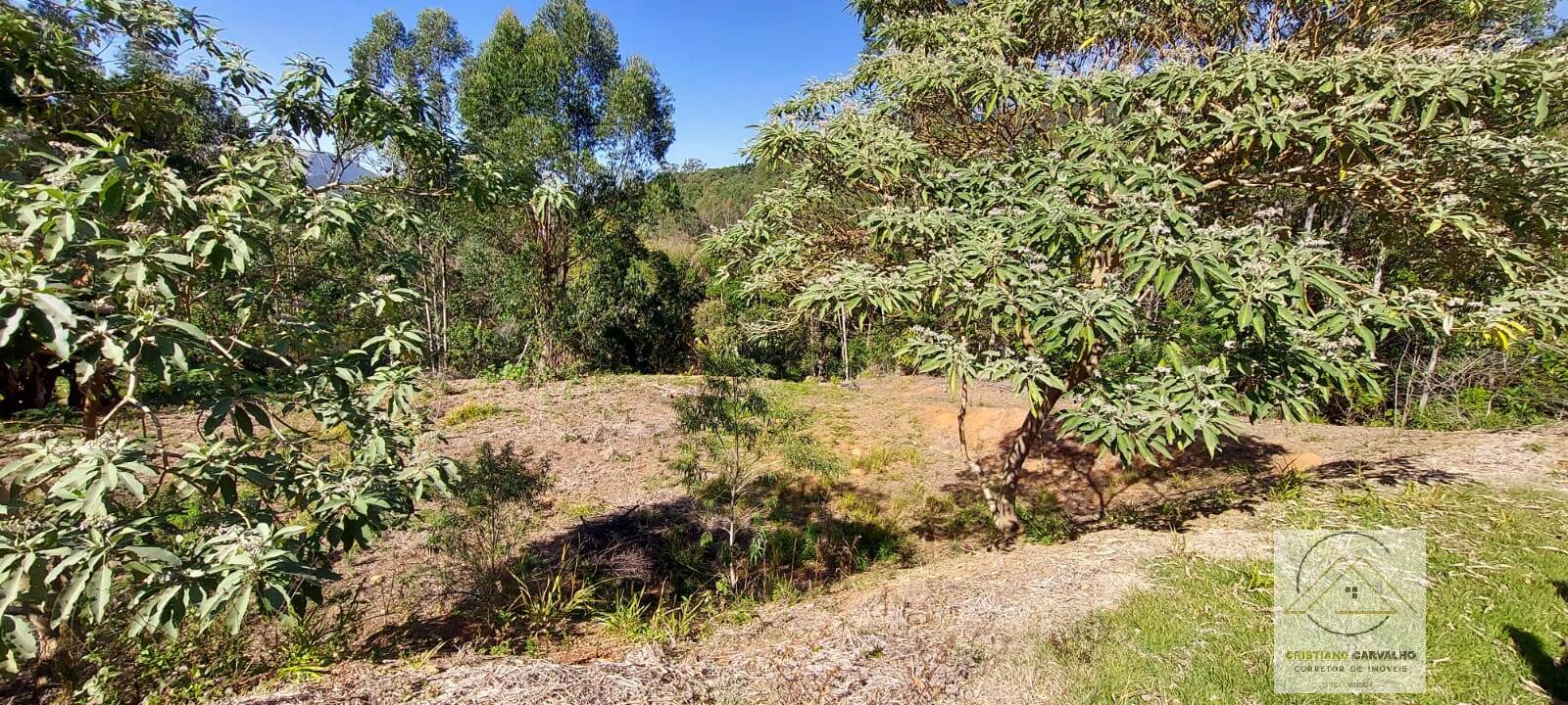Chácara à venda com 2 quartos, 12000m² - Foto 162