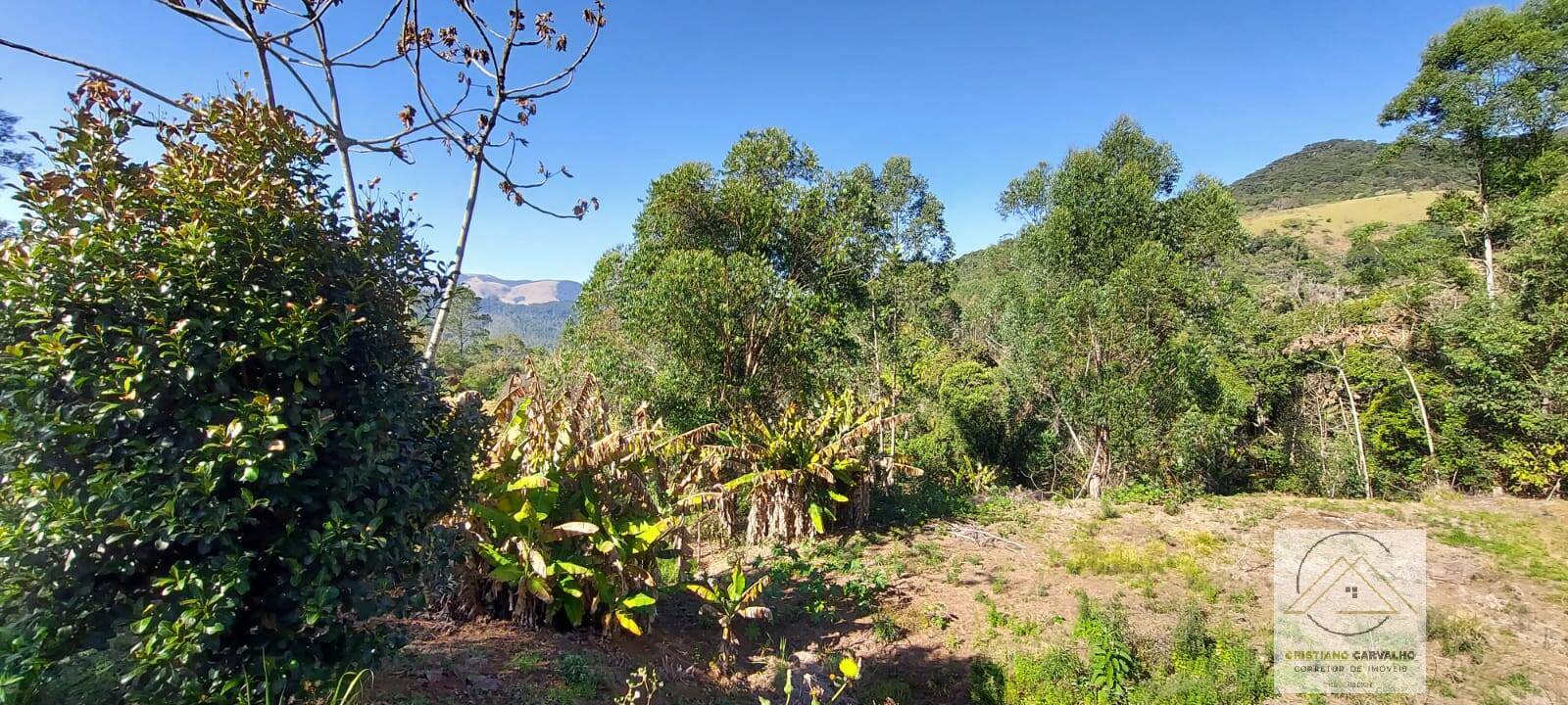 Chácara à venda com 2 quartos, 12000m² - Foto 165