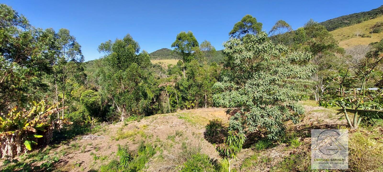 Chácara à venda com 2 quartos, 12000m² - Foto 167