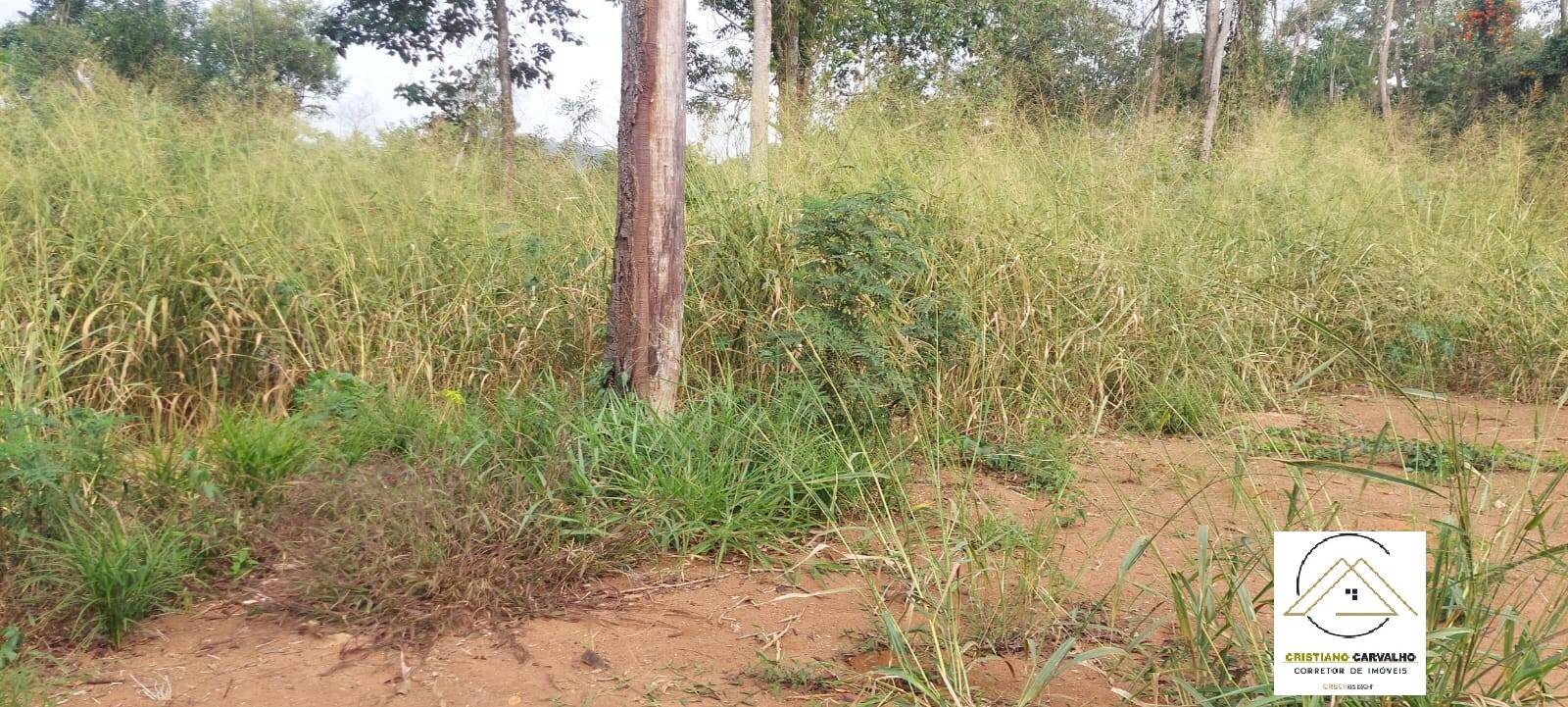 Terreno, 1000 m² - Foto 21