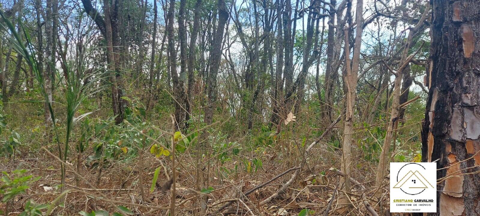 Terreno, 500 m² - Foto 12