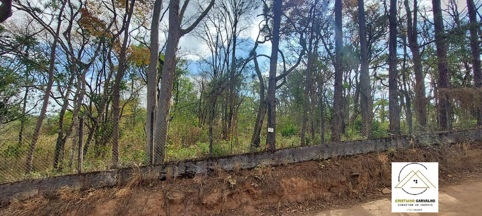 Terreno, 500 m² - Foto 4