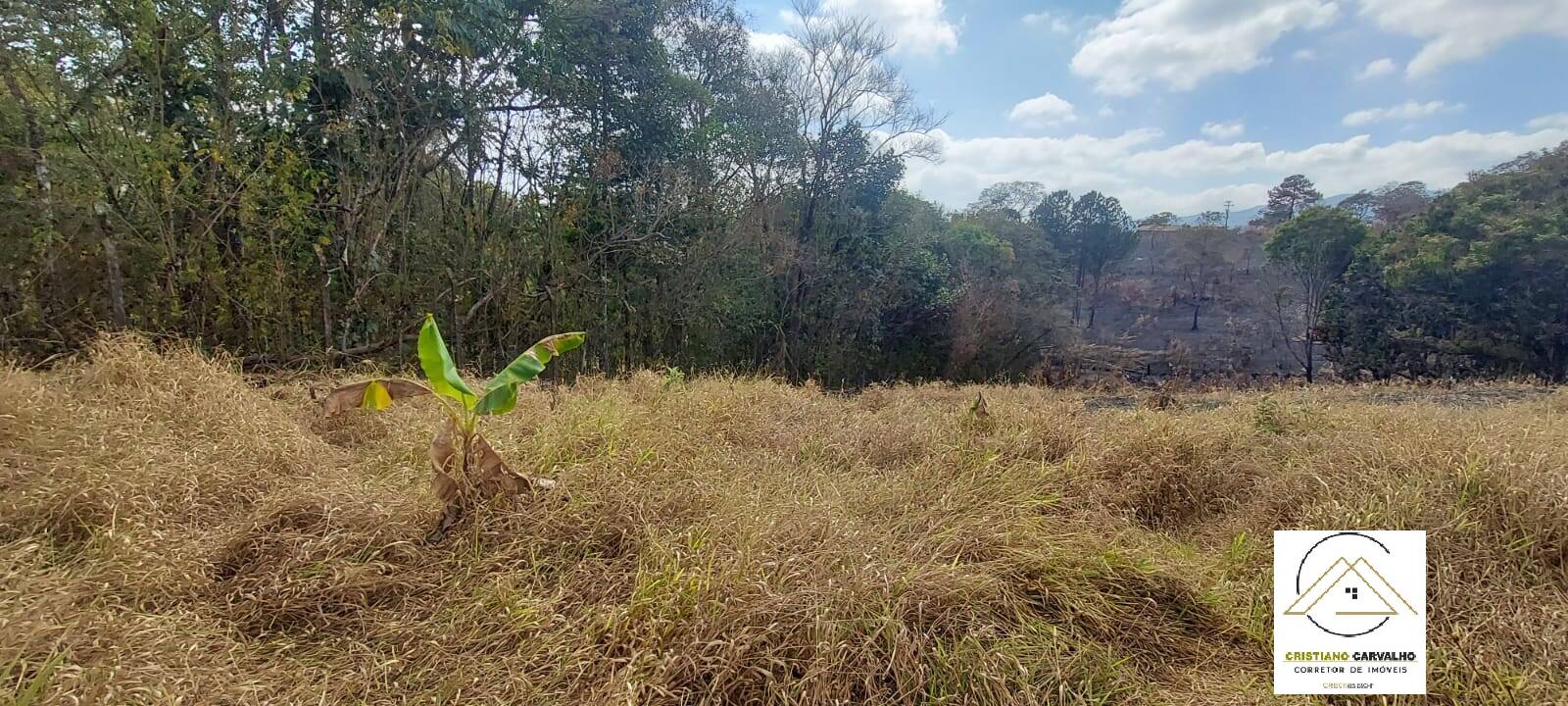 Terreno, 500 m² - Foto 8