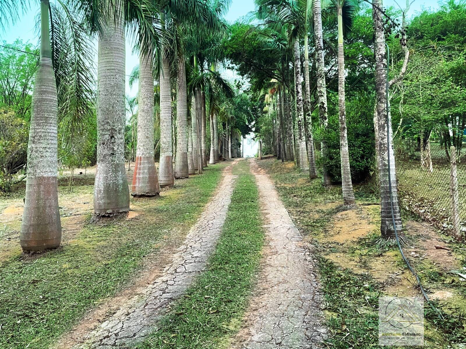 Chácara, 2 quartos, 2 hectares - Foto 23