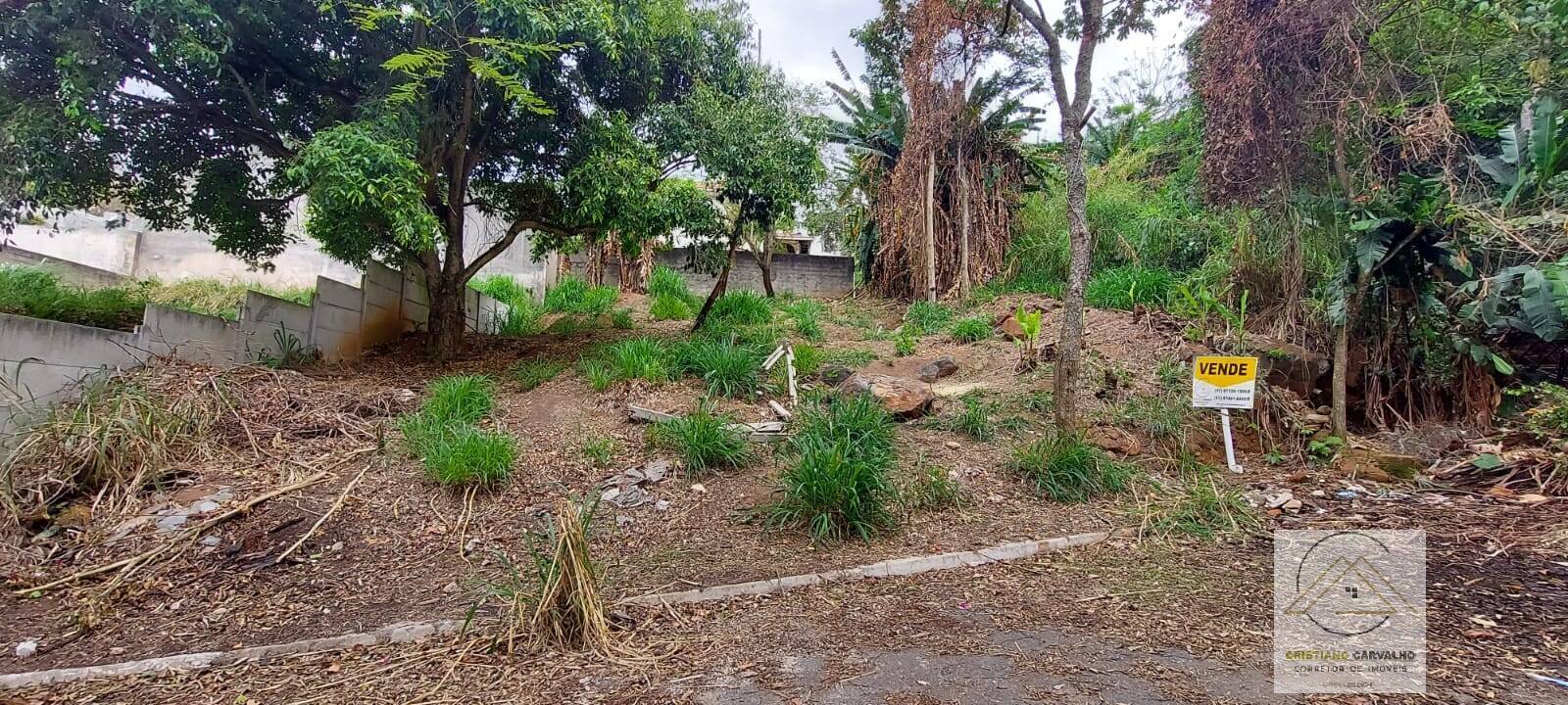 Terreno, 315 m² - Foto 1