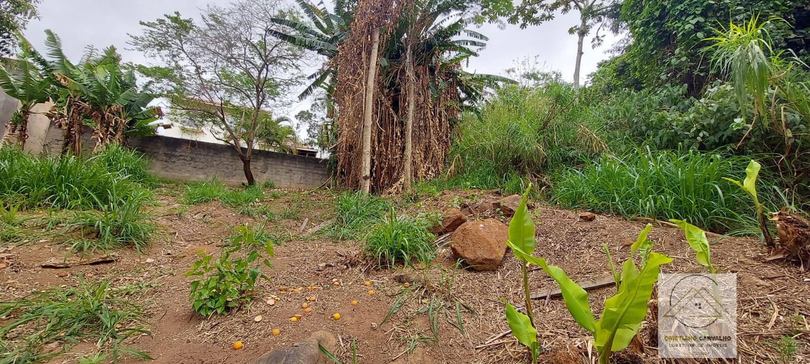 Terreno, 315 m² - Foto 5