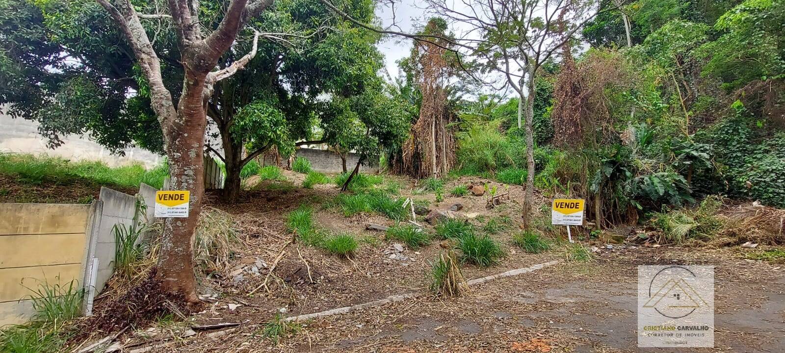 Terreno, 315 m² - Foto 11