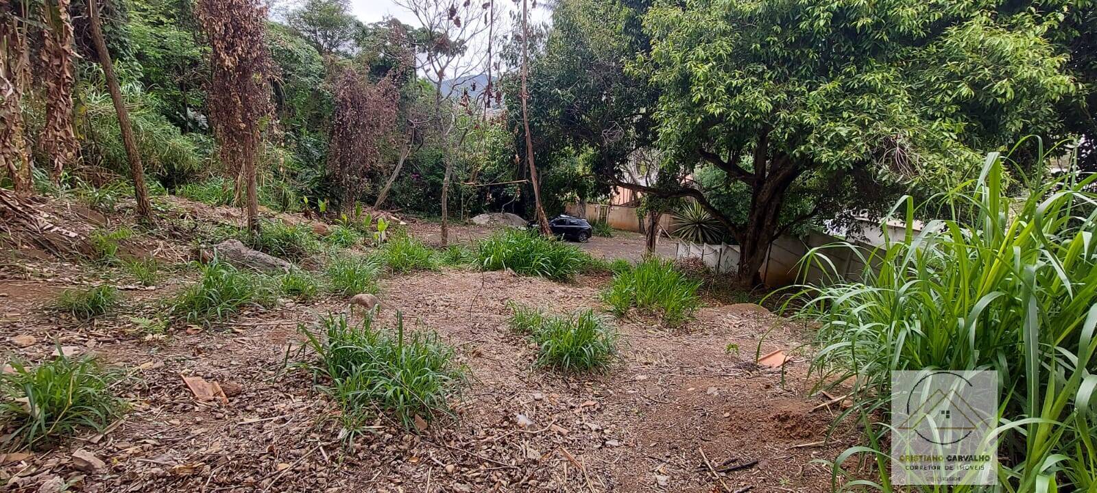 Terreno, 315 m² - Foto 15