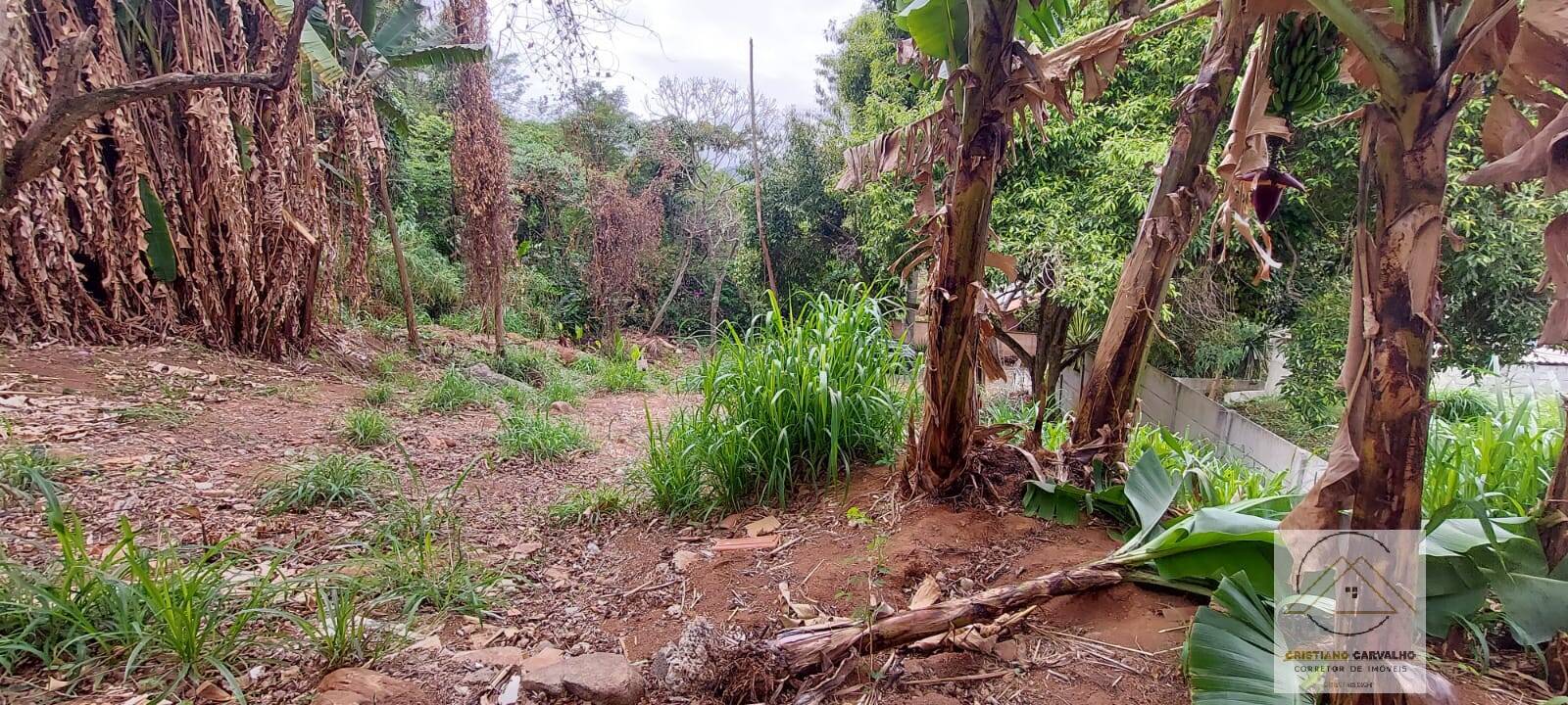 Terreno, 315 m² - Foto 17