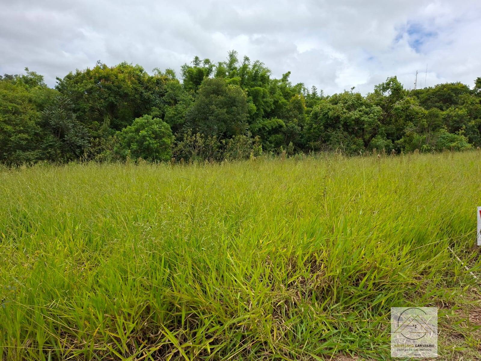 Terreno, 175 m² - Foto 5