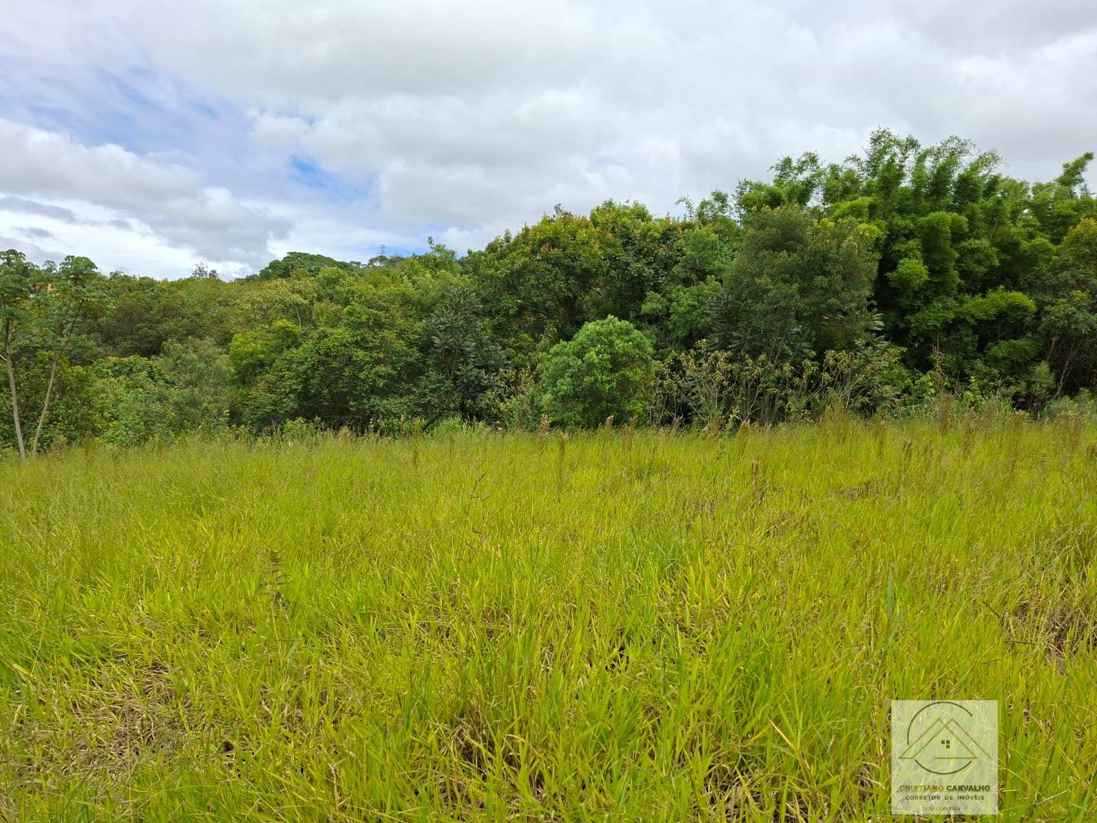 Terreno, 175 m² - Foto 6