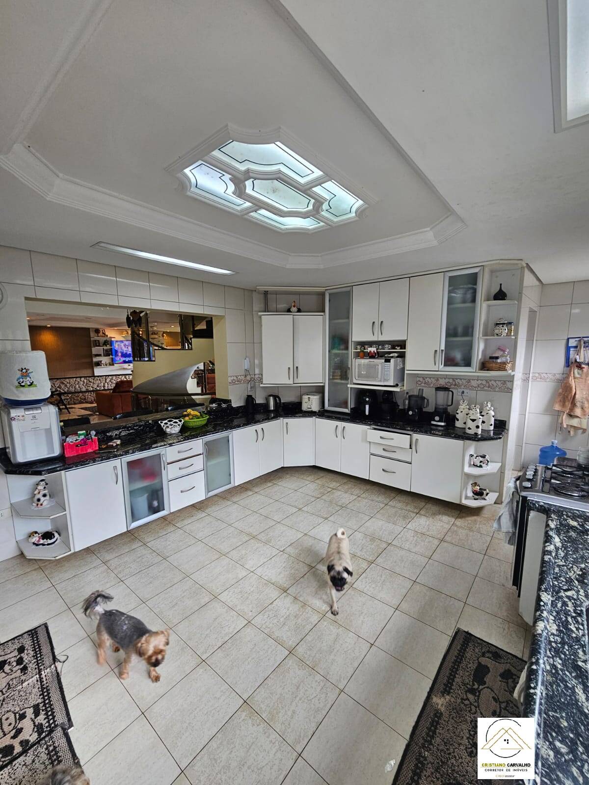 Casa, 4 quartos, 705 m² - Foto 26