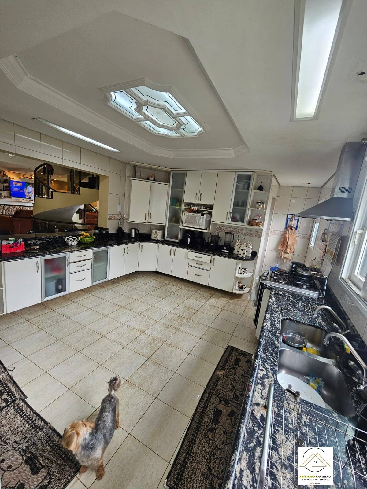 Casa, 4 quartos, 705 m² - Foto 25