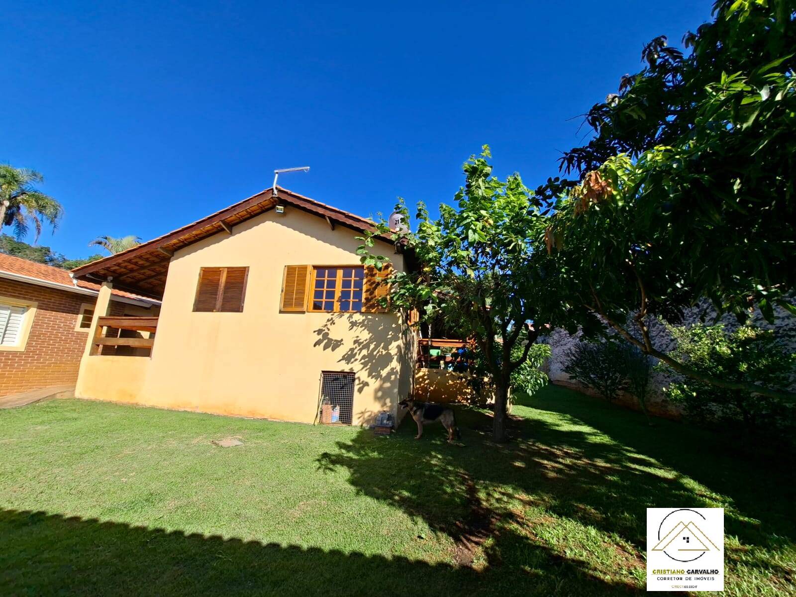 Sítio, 5 quartos, 1000 m² - Foto 4