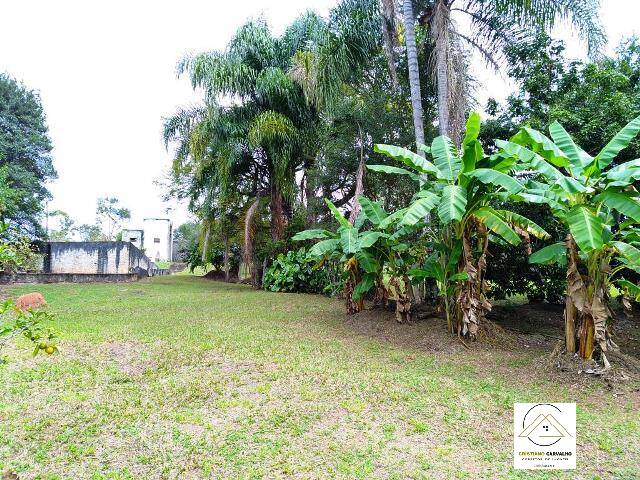 Chácara, 3 quartos, 61 hectares - Foto 20