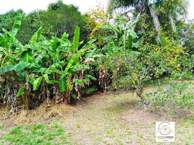 Chácara, 3 quartos, 61 hectares - Foto 19