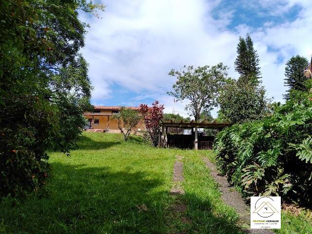 Chácara, 3 quartos, 61 hectares - Foto 26