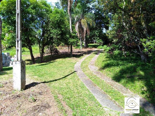 Chácara, 3 quartos, 61 hectares - Foto 3