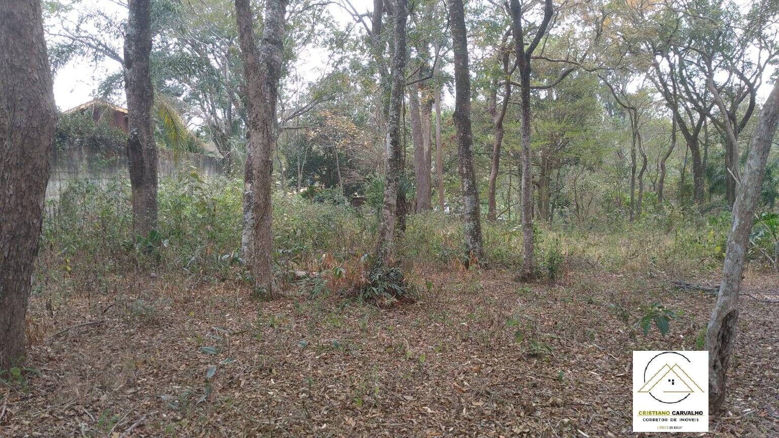 Chácara, 3 quartos, 6000 m² - Foto 37