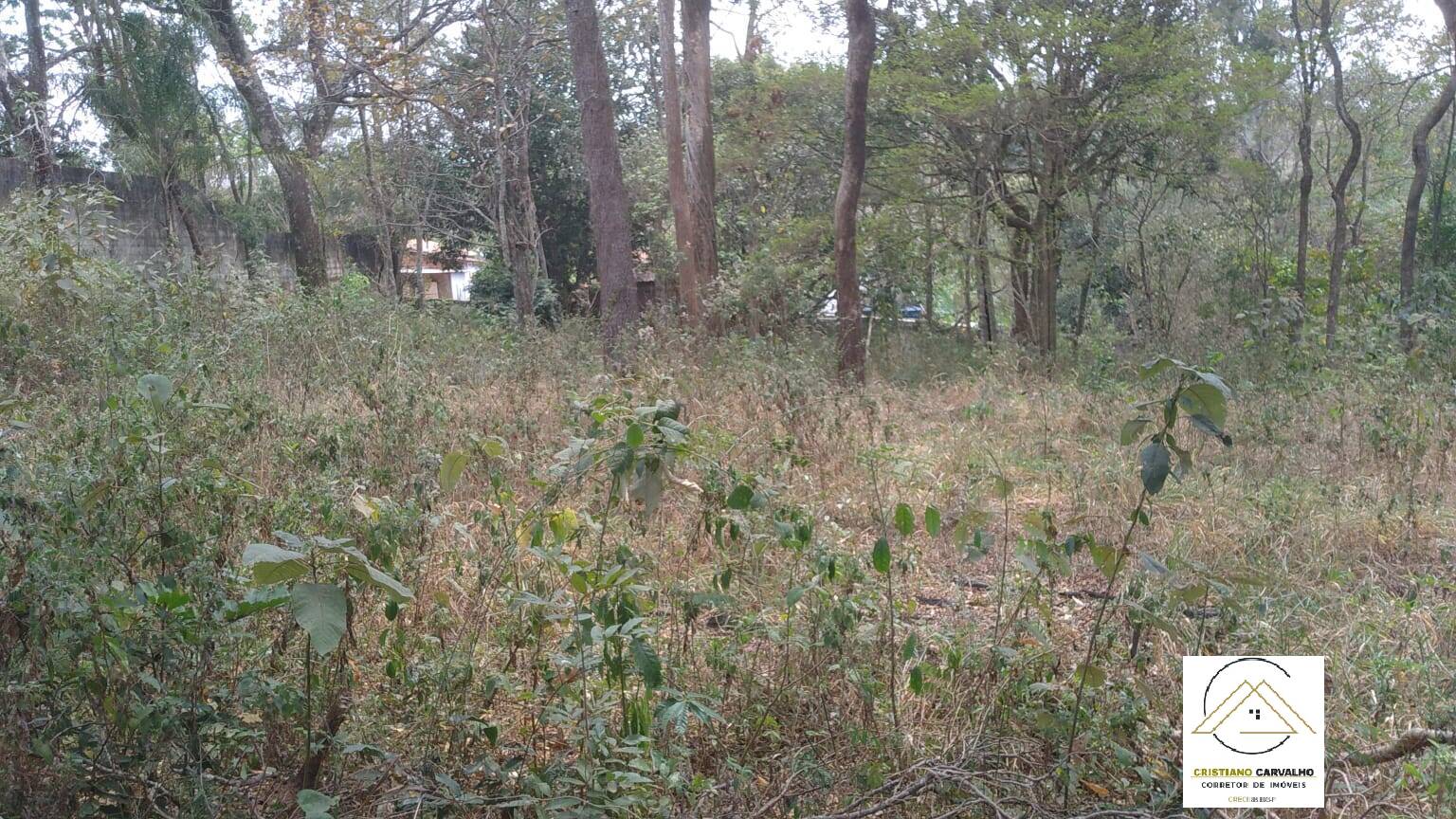 Chácara, 3 quartos, 6000 m² - Foto 38