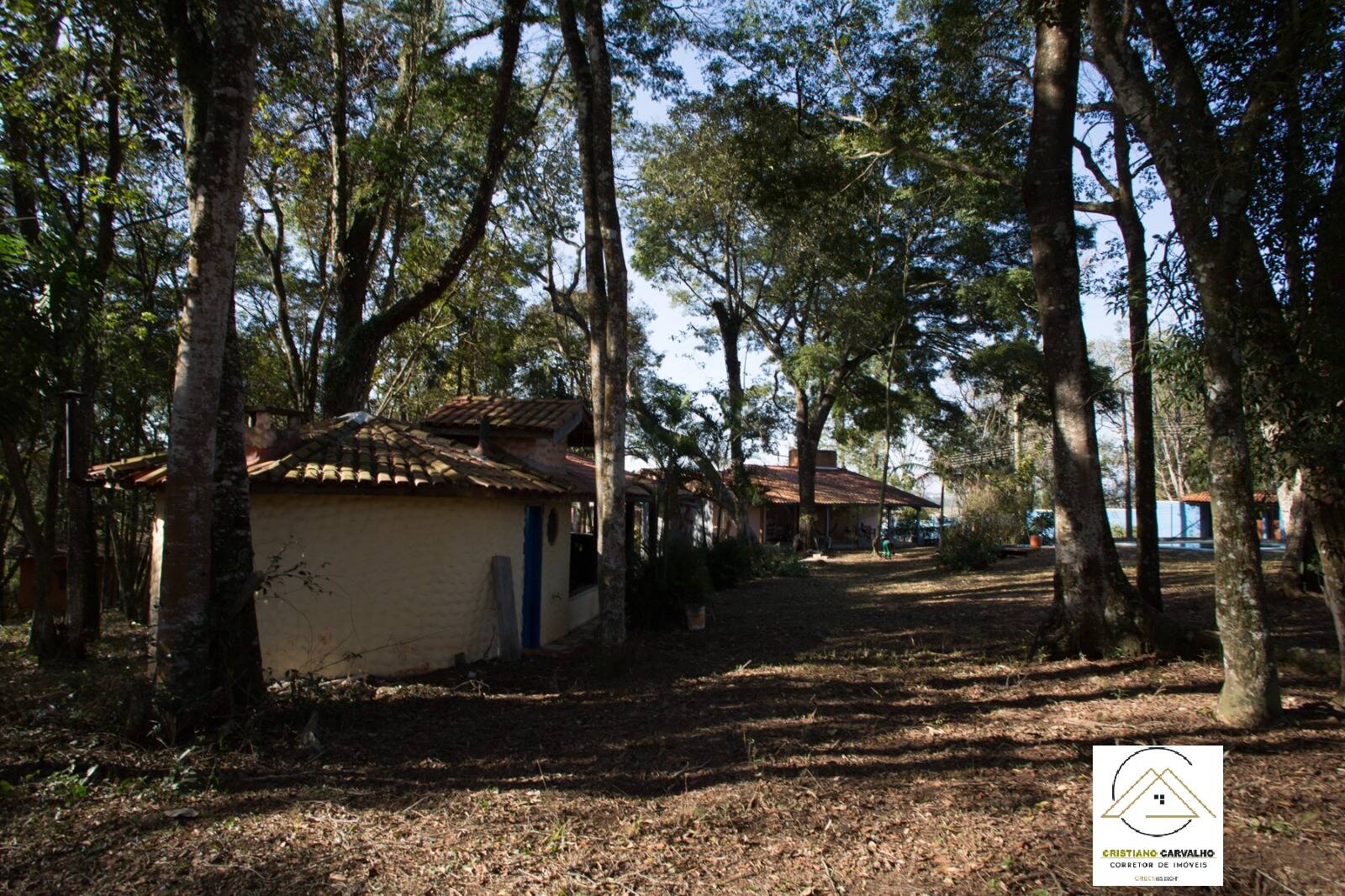 Chácara, 3 quartos, 6000 m² - Foto 34